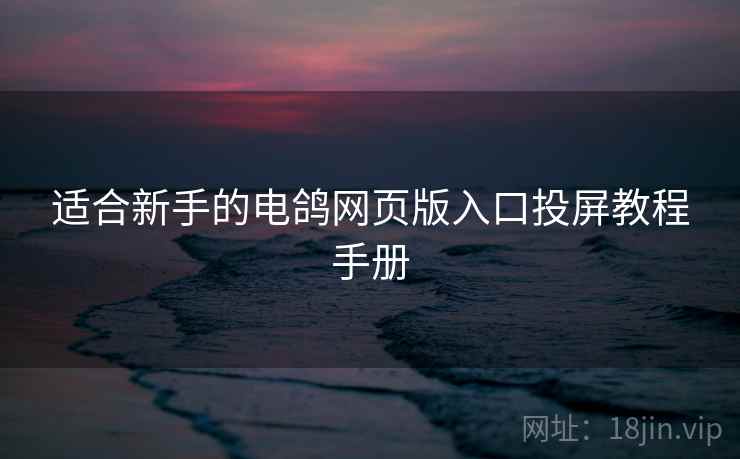 适合新手的电鸽网页版入口投屏教程手册