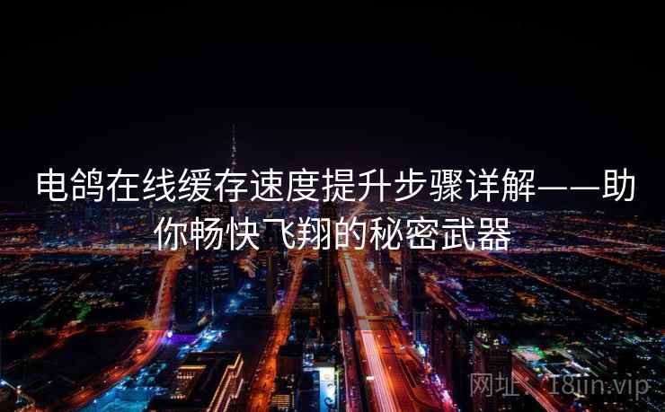 电鸽在线缓存速度提升步骤详解——助你畅快飞翔的秘密武器