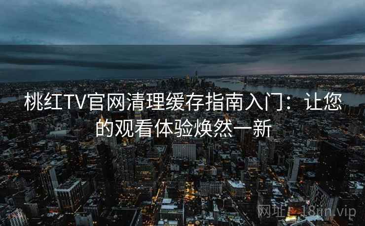 桃红TV官网清理缓存指南入门：让您的观看体验焕然一新