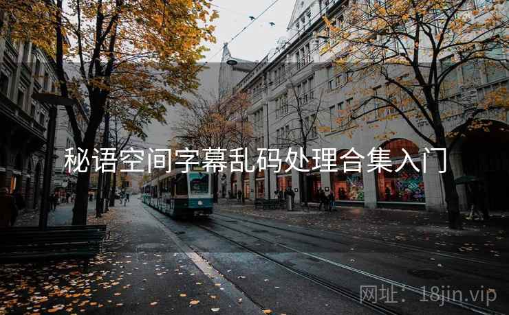 秘语空间字幕乱码处理合集入门