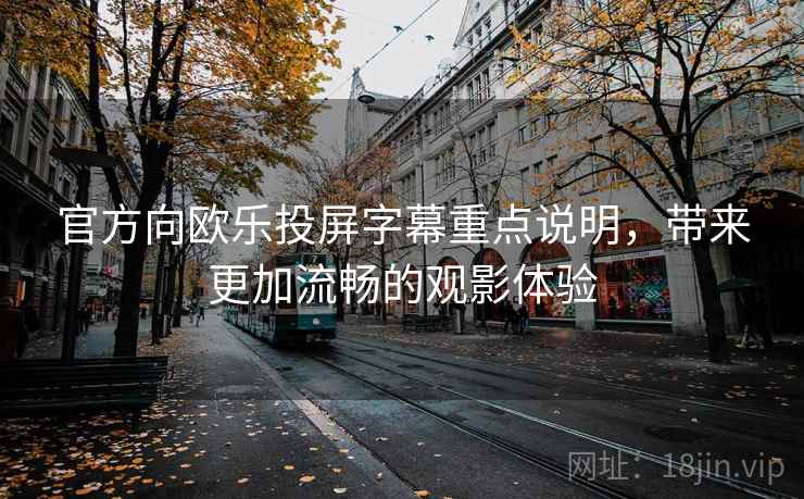 官方向欧乐投屏字幕重点说明，带来更加流畅的观影体验