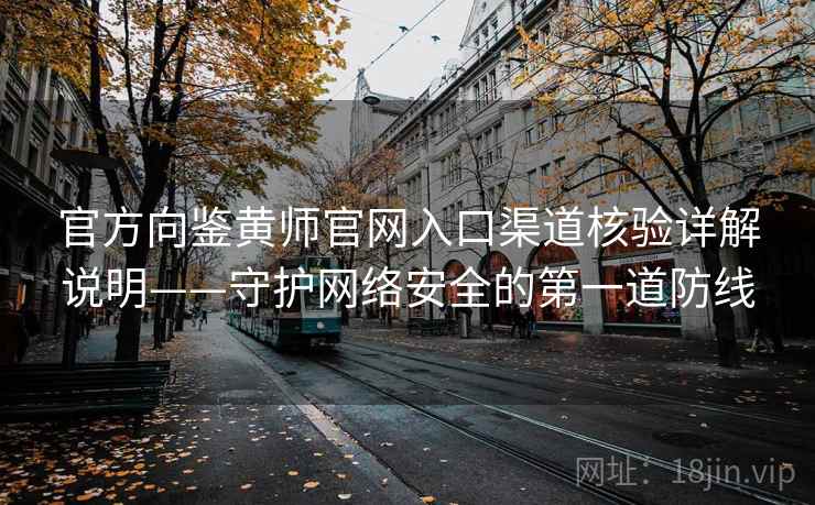 官方向鉴黄师官网入口渠道核验详解说明——守护网络安全的第一道防线