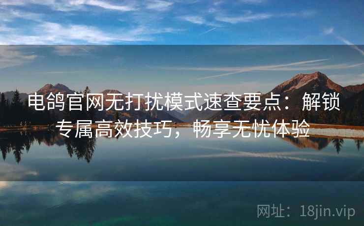 电鸽官网无打扰模式速查要点：解锁专属高效技巧，畅享无忧体验