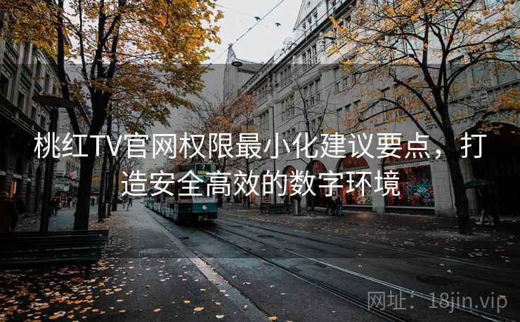 桃红TV官网权限最小化建议要点，打造安全高效的数字环境