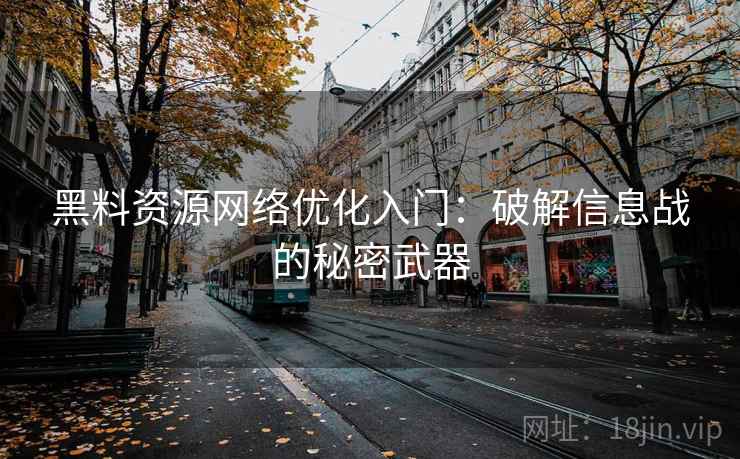 黑料资源网络优化入门：破解信息战的秘密武器