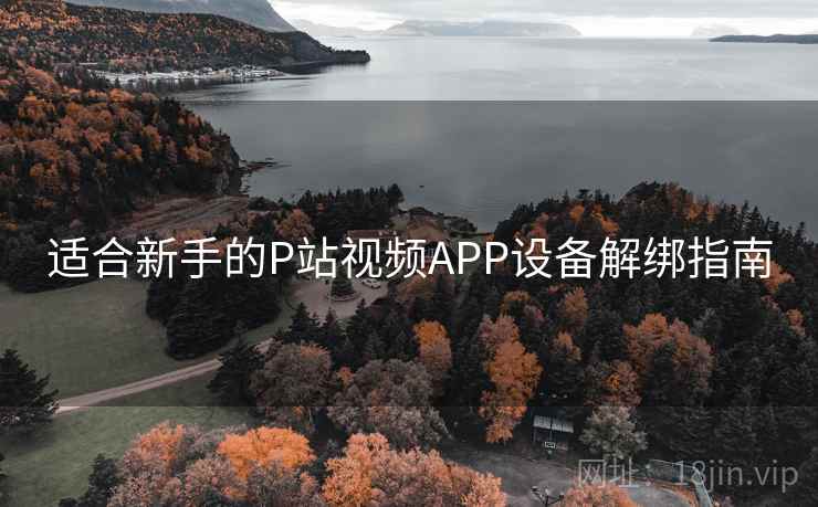适合新手的P站视频APP设备解绑指南