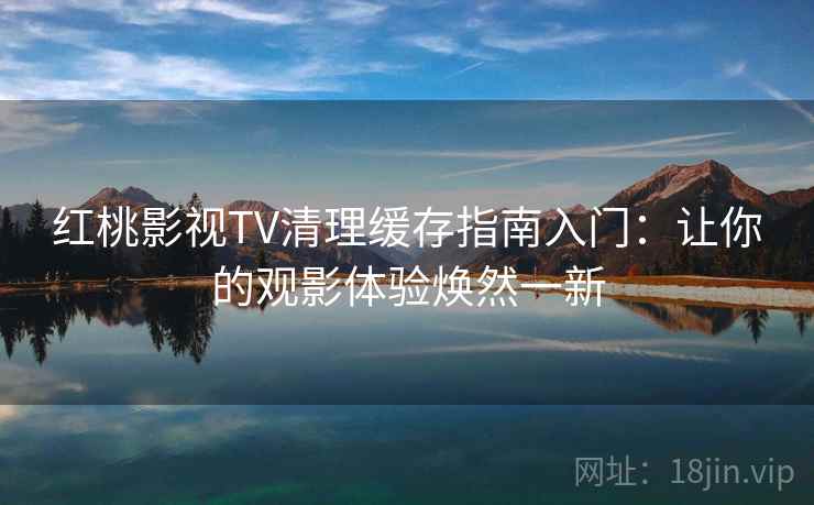 红桃影视TV清理缓存指南入门：让你的观影体验焕然一新