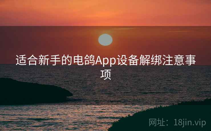 适合新手的电鸽App设备解绑注意事项